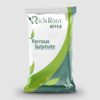 20250927111903-thumb-ferrous-sulphate.webp